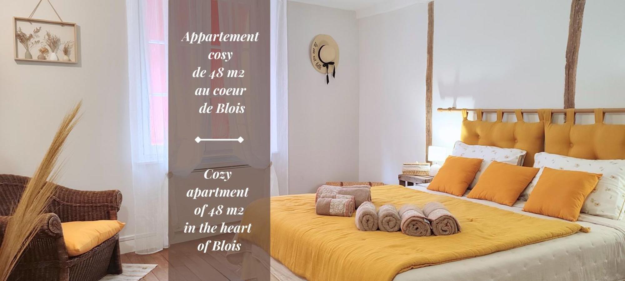 - Le Petit Louis Xii Apartment Blois